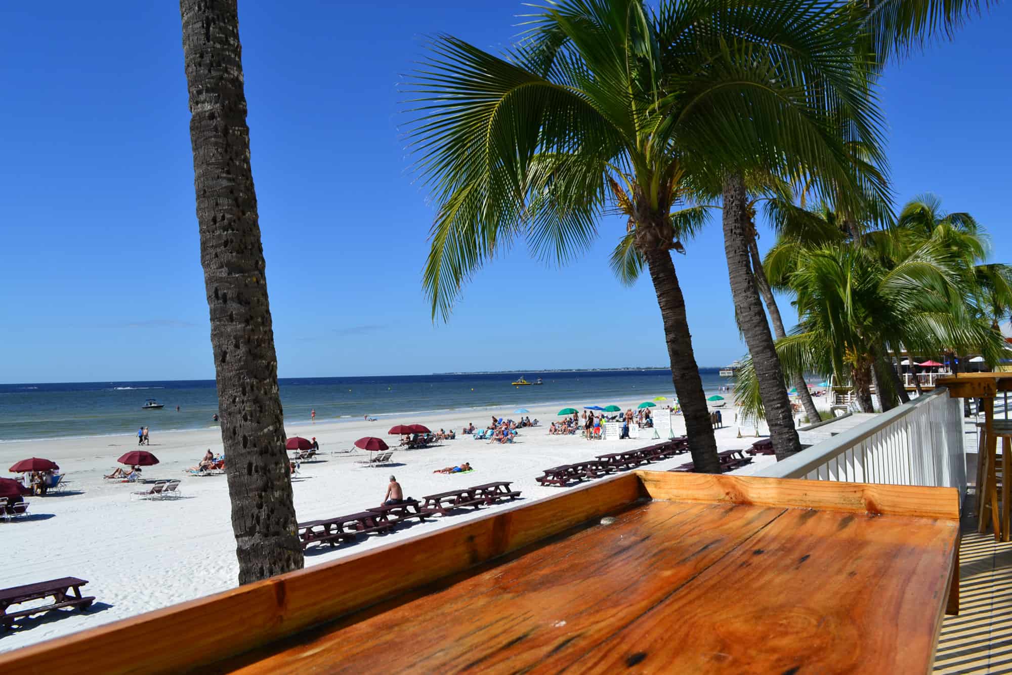 Sabal Palm Bar & Grill | Restaurants in Fort Myers